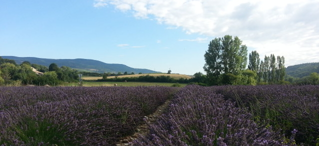 provence2